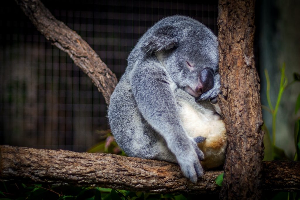 dormire meglio favorire sonno migliorare qualità del sonno