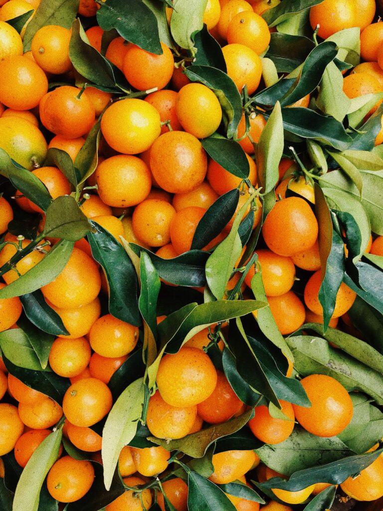 frutta e verdura di stagione in inverno